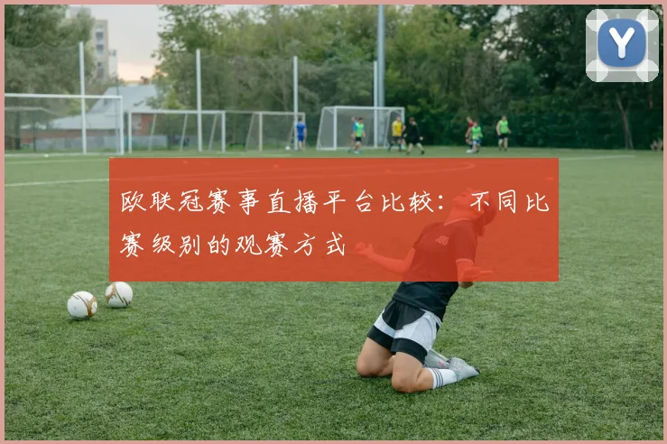 欧联冠赛事直播平台比较：不同比赛级别的观赛方式