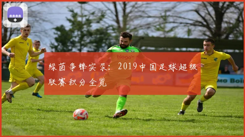 绿茵争锋实录:2019中国足球超级联赛积分全览