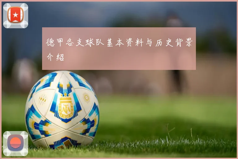 德甲各支球队基本资料与历史背景介绍