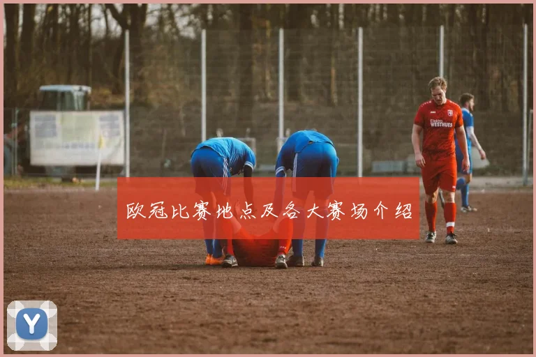 欧冠比赛地点及各大赛场介绍