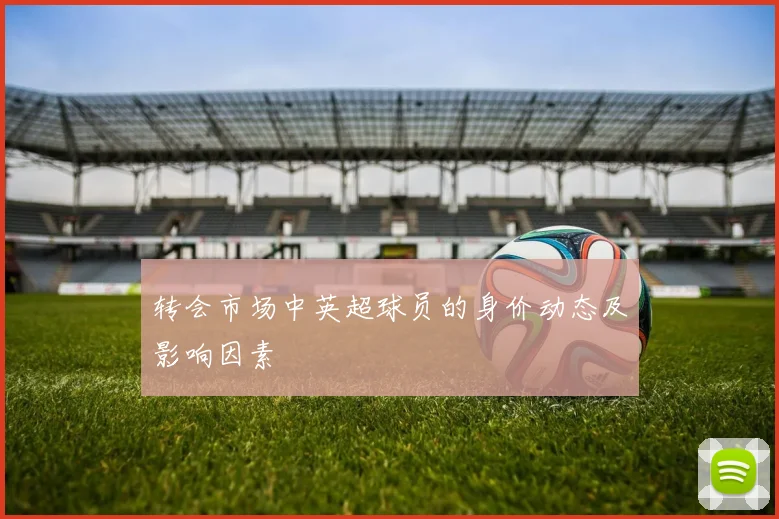 转会市场中英超球员的身价动态及影响因素