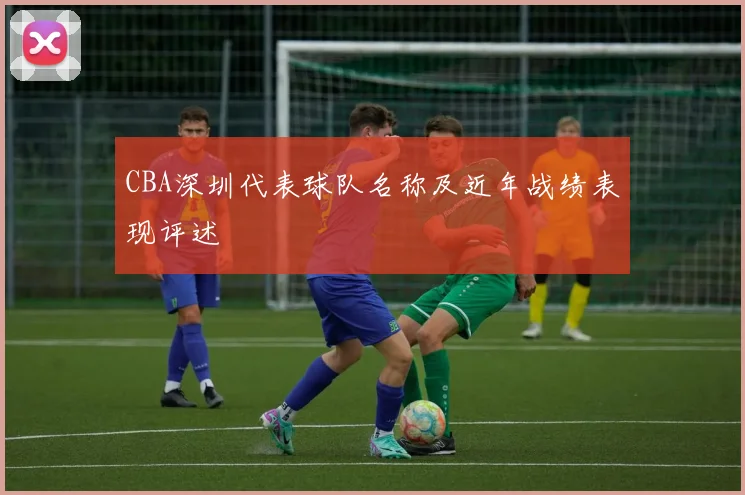 CBA深圳代表球队名称及近年战绩表现评述