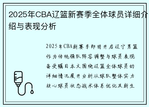 2025年CBA辽篮新赛季全体球员详细介绍与表现分析